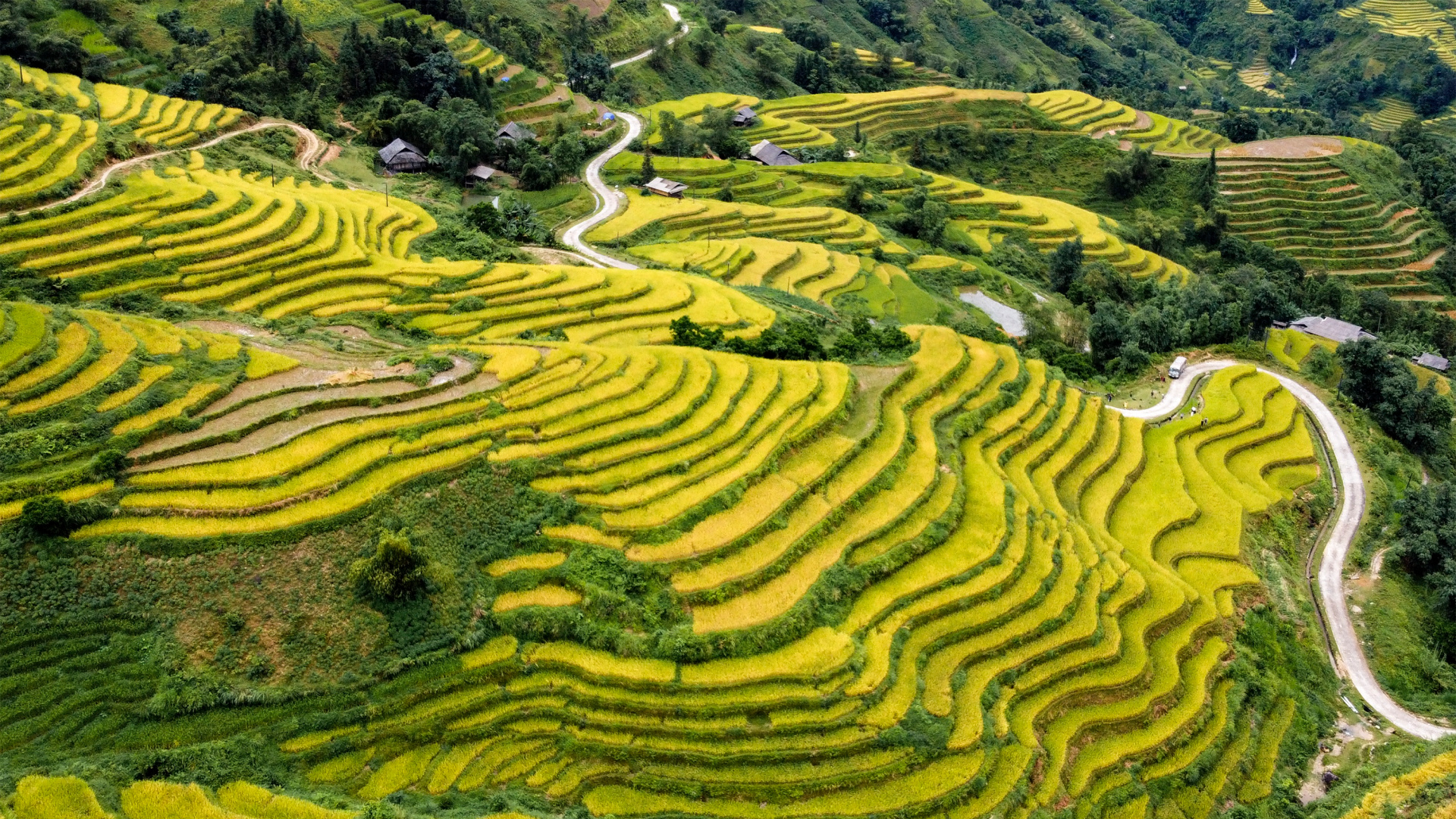 Dong Van Geopark Uniek Veelzijdig Vietnam