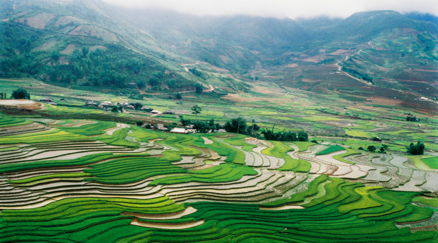 mu cang chai khau pha