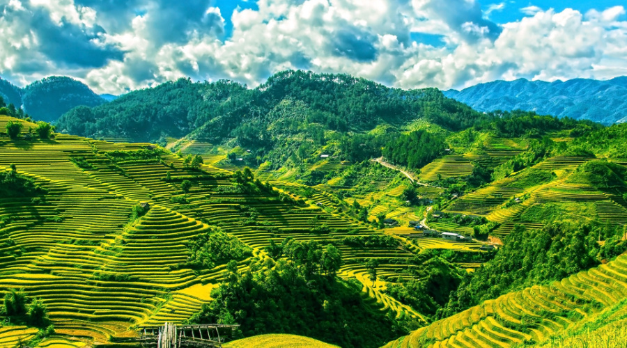 mu cang chai khau pha