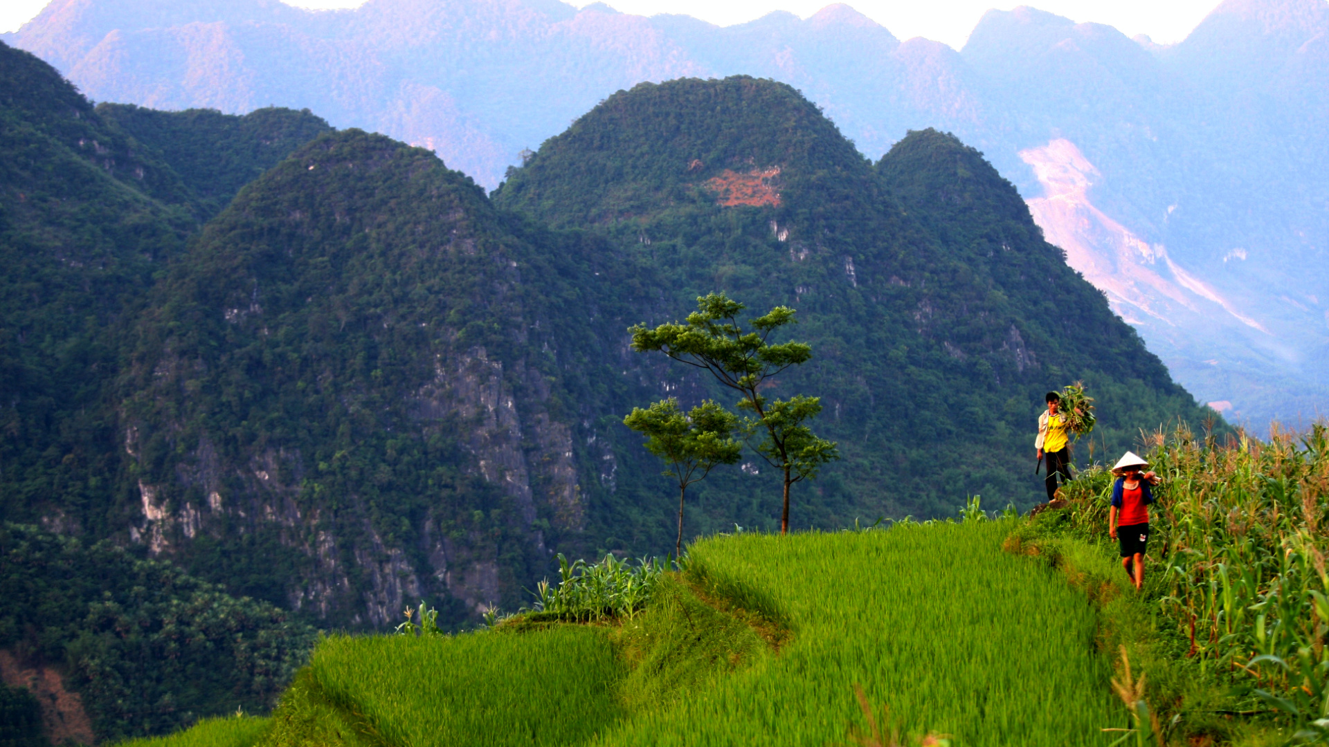 Vietnam’S Stunning Natural Beauty: Explore Hidden Gems | Vietnam Travel ...