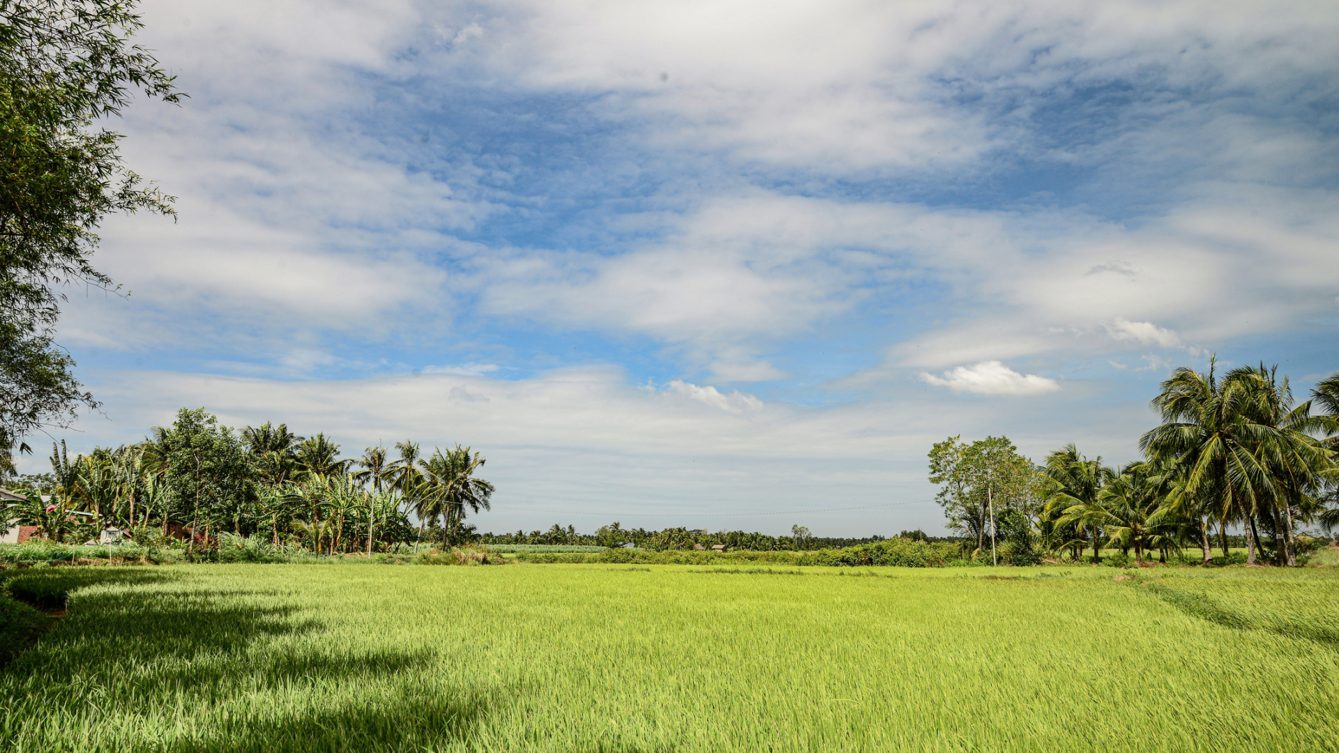 Ben Tre Vietnam Mooiste dorp Mekong Veelzijdig Vietnam