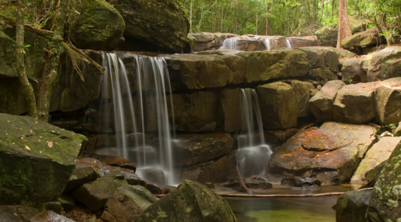 Tranh Stream Phu Quoc